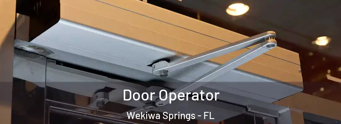  Door Operator Wekiwa Springs - FL