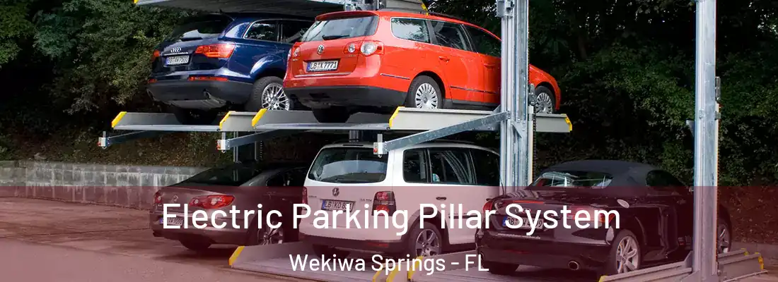  Electric Parking Pillar System Wekiwa Springs - FL