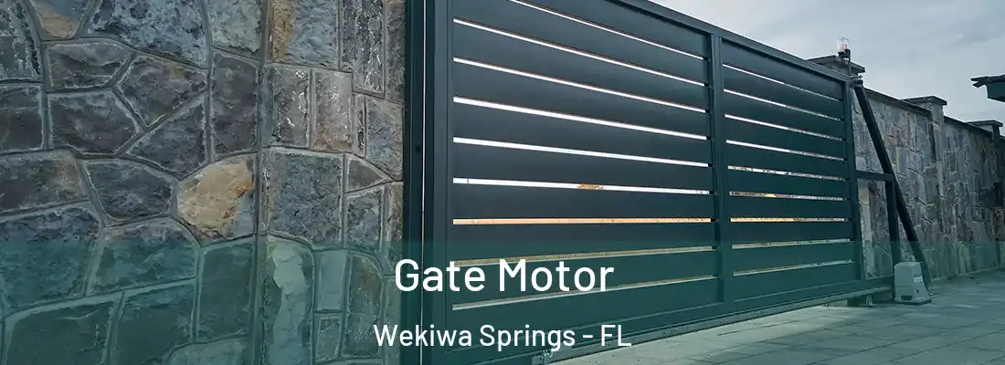  Gate Motor Wekiwa Springs - FL