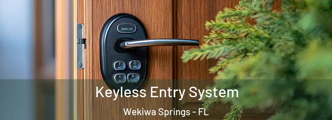  Keyless Entry System Wekiwa Springs - FL